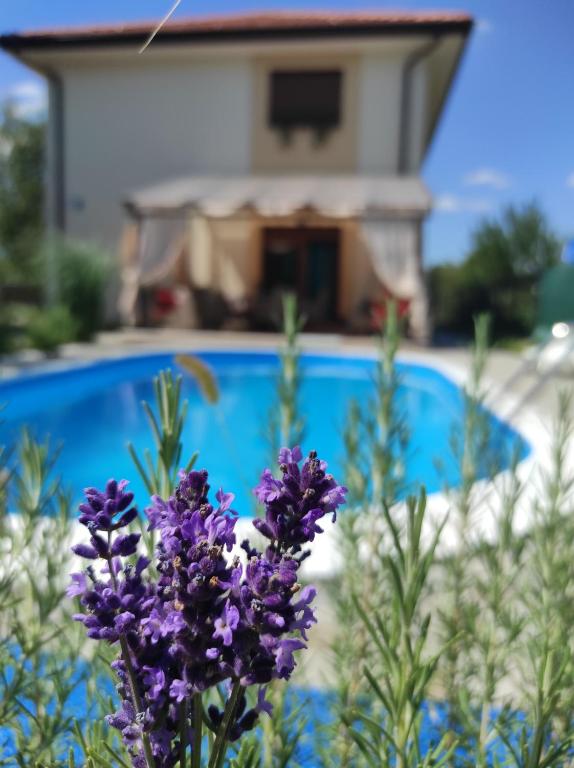 Riverside Plaza Villa room 4