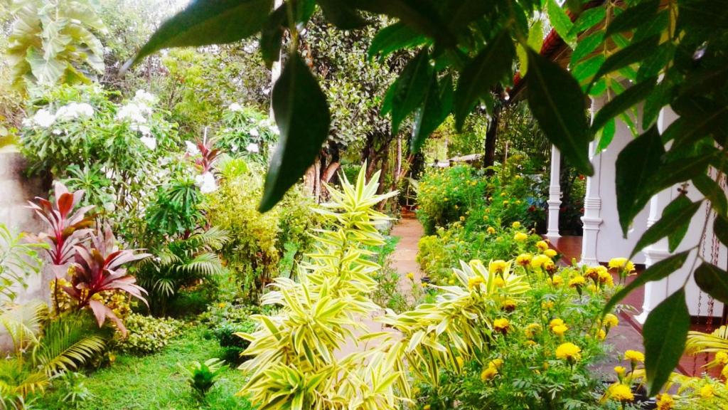 Priyavimana resort room 4