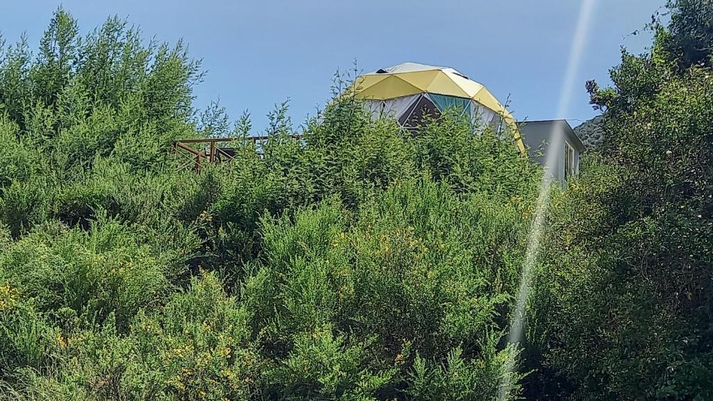 Glamping Altos de Quiluva room 5