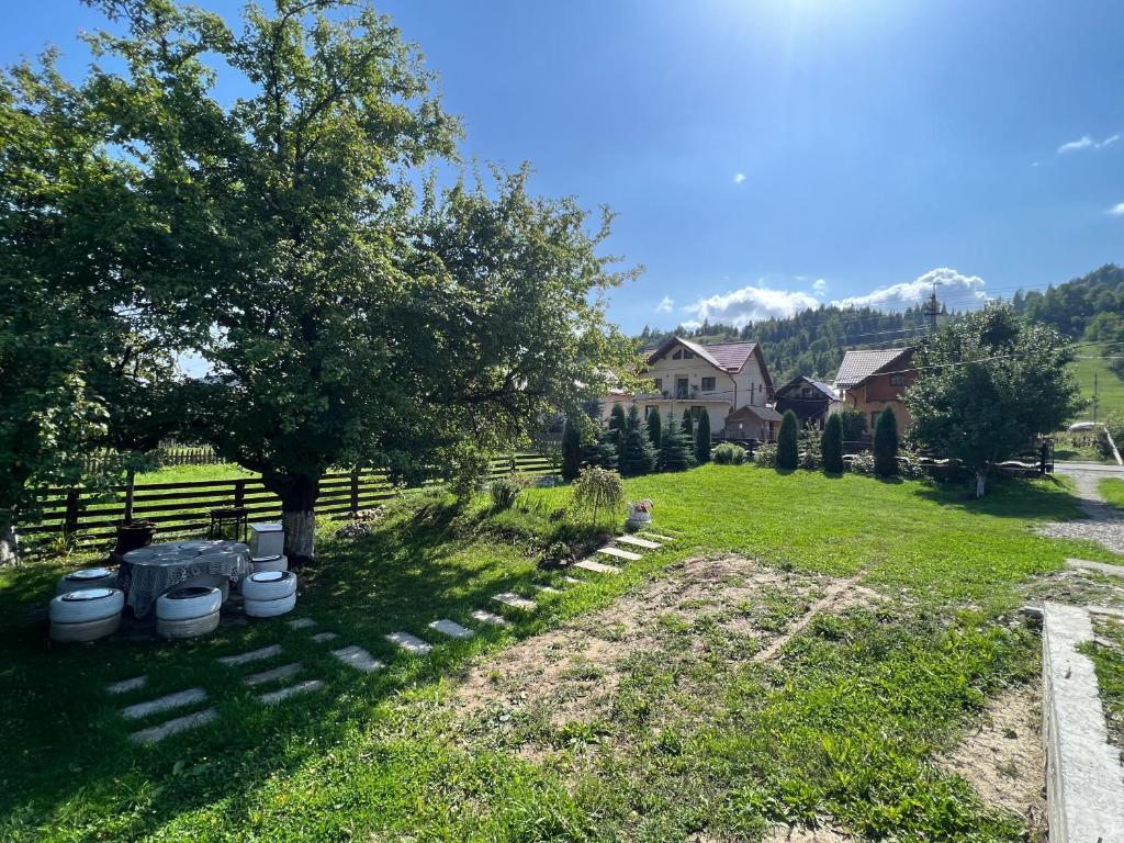 Raspberry Villa - Bucovina - Poiana Micului – Photos 2