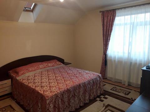 Pensiunea Salauta room 6