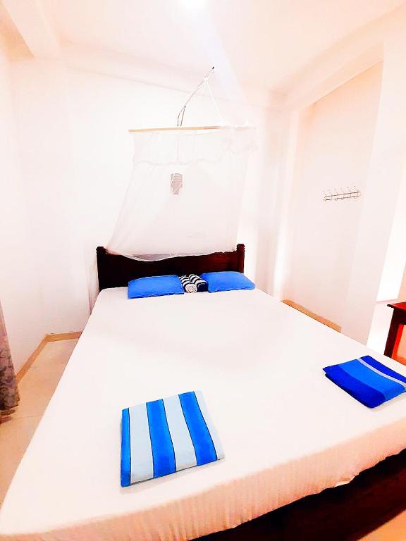 New sea lion guest house room 5