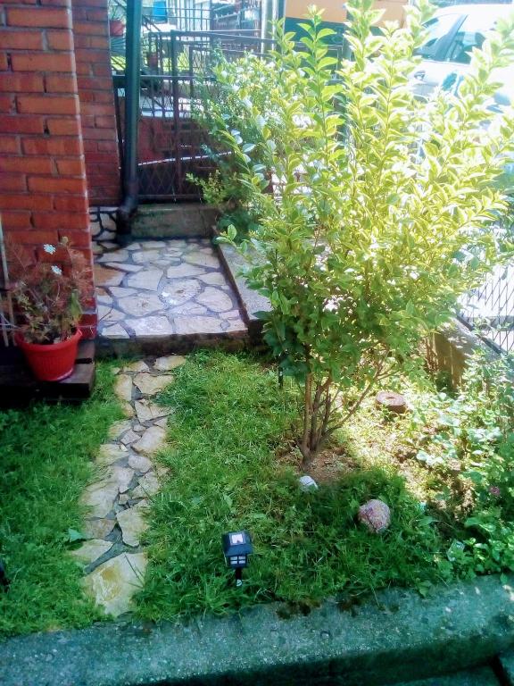 Apartman Selma room 3