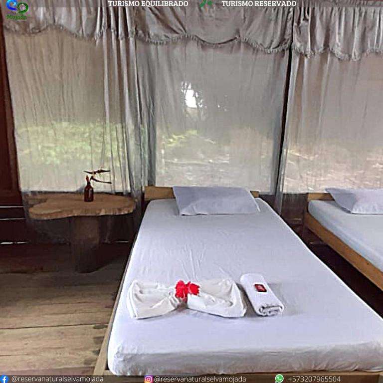 Reserva Natural Selva Mojada room 1