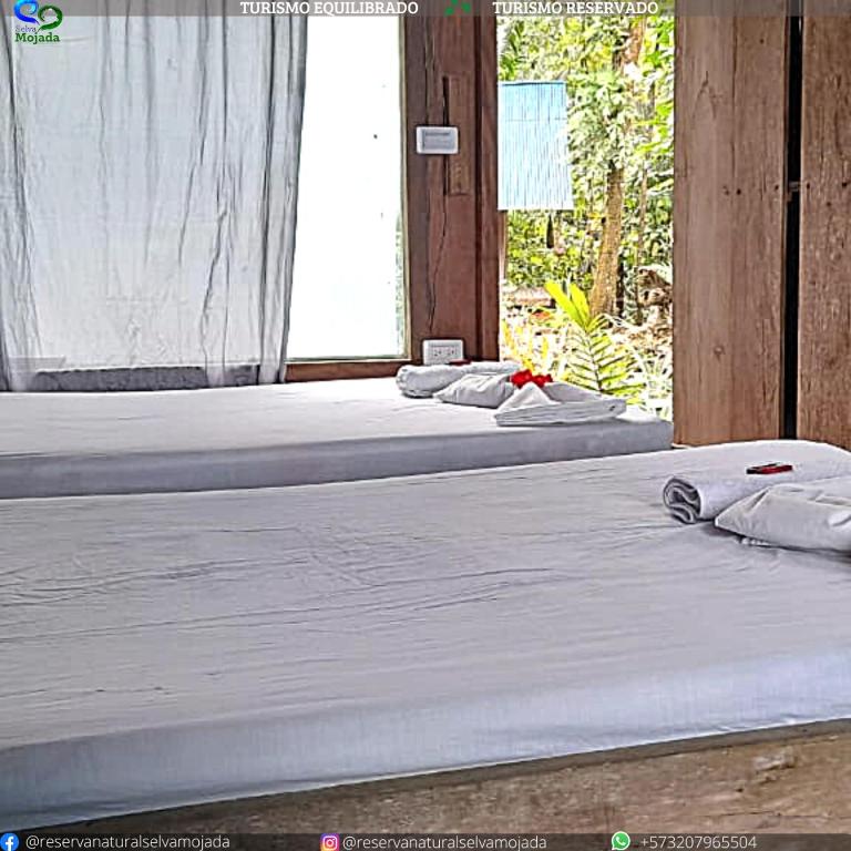 Reserva Natural Selva Mojada room 2