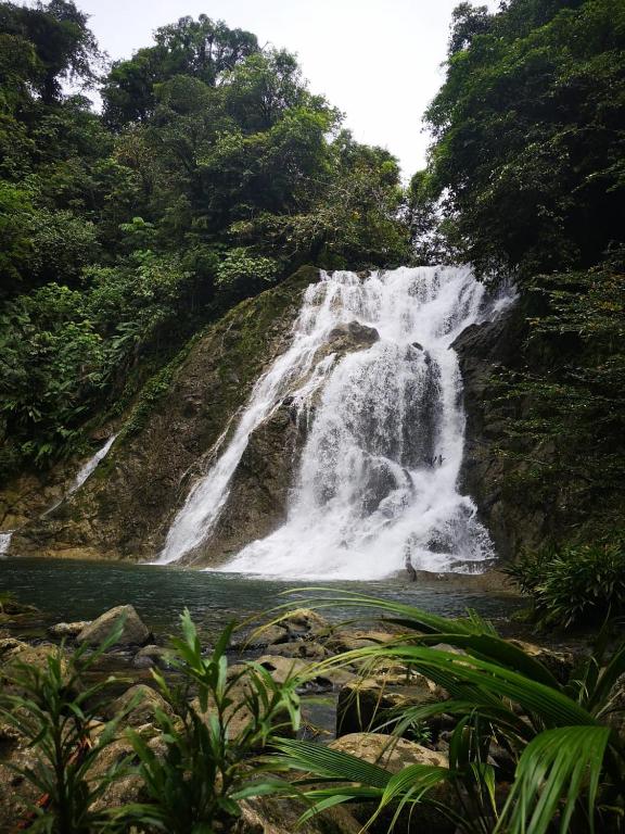 Reserva Natural Selva Mojada room 5