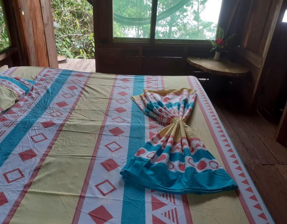 Reserva Natural Selva Mojada room 6