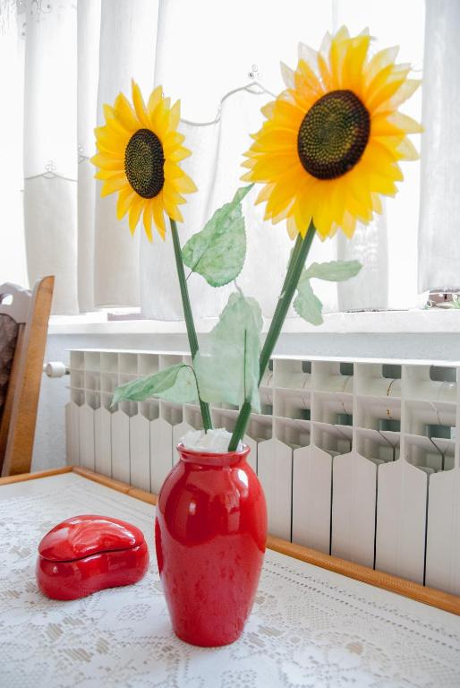 Slobo Apartment room 2