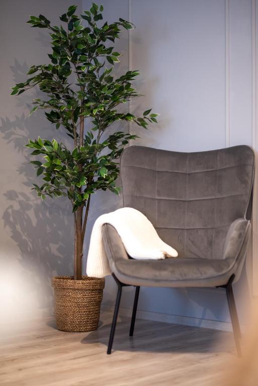 Snowdrop Apartment room 5