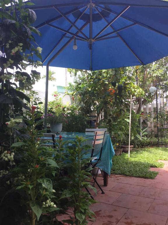 Star Garden Hoi An room 1