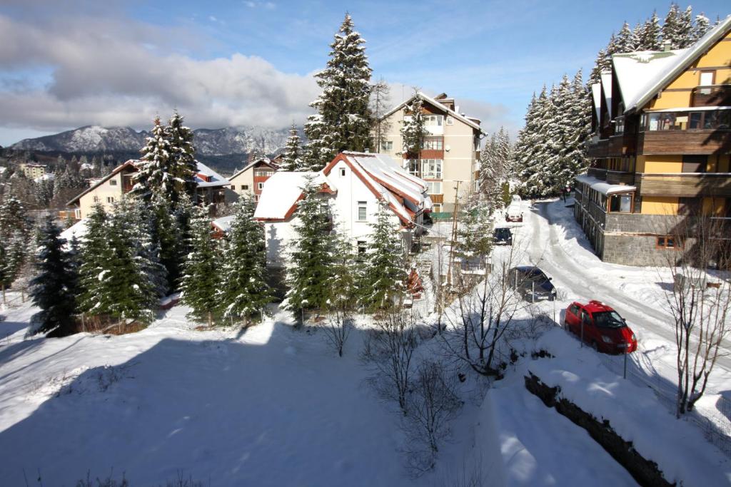 Sunny Apartment room 1