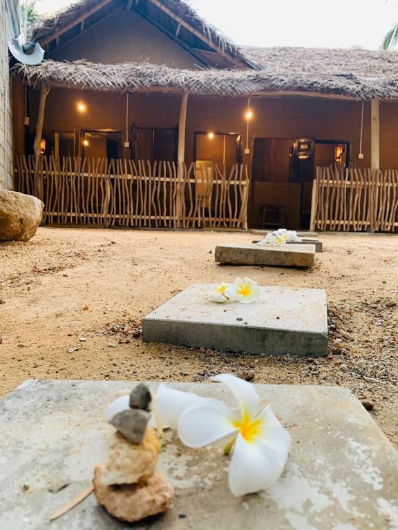 Sun Up Hiriketiya Dickwella room 1