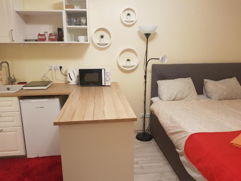 Studio On Tehnika 19 room 1