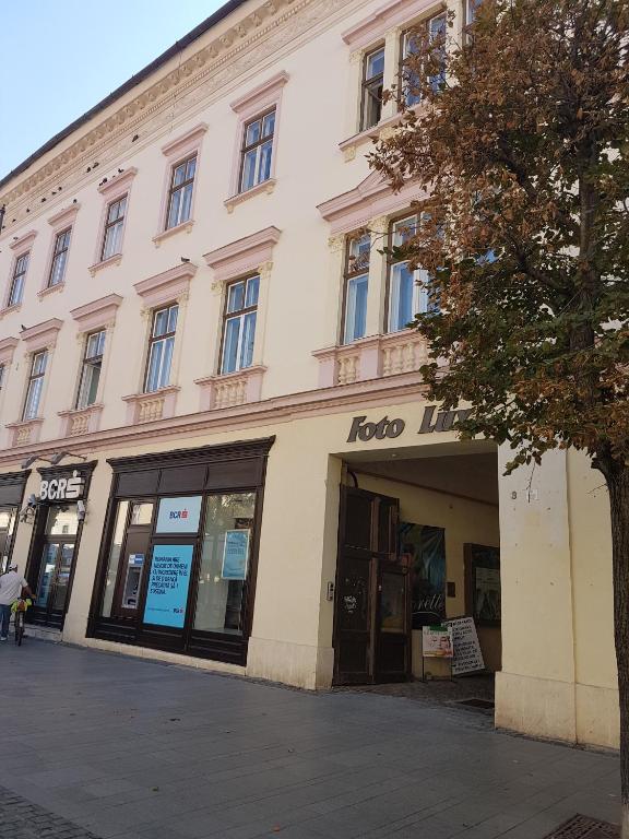 Apartament Teodora Sibiu room 5