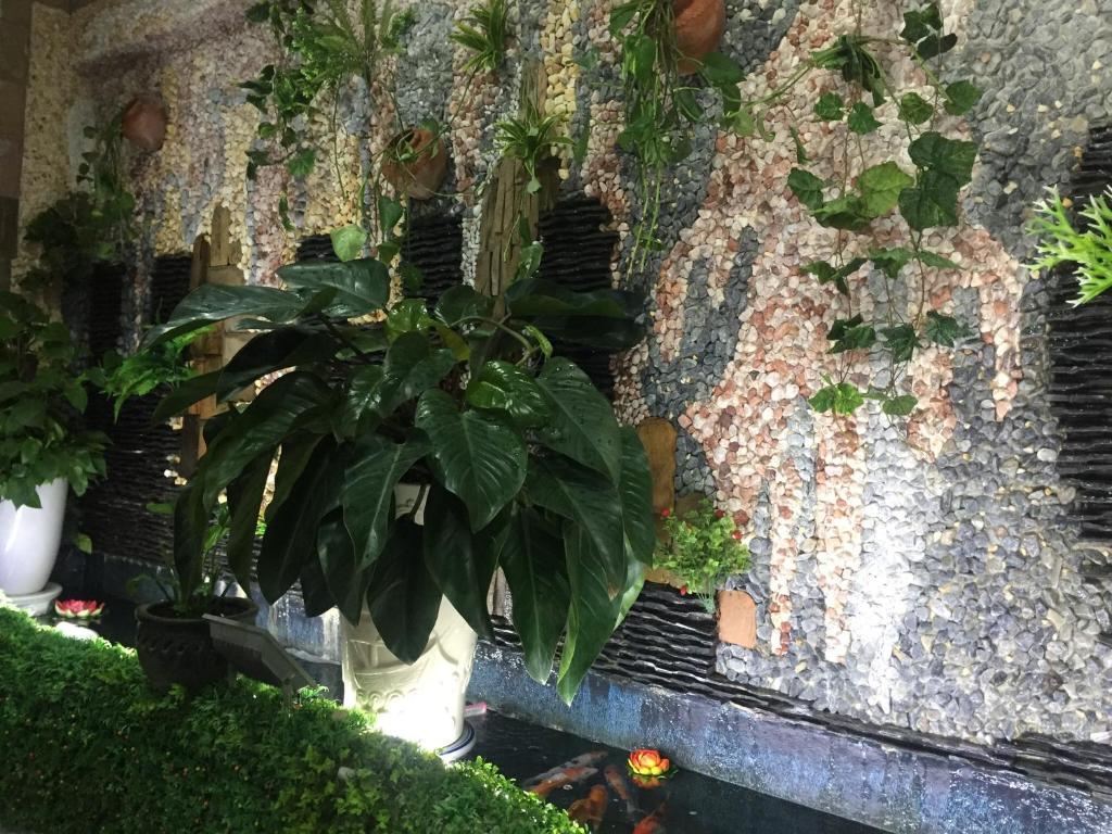 Hotel Thanh Thảo room 5