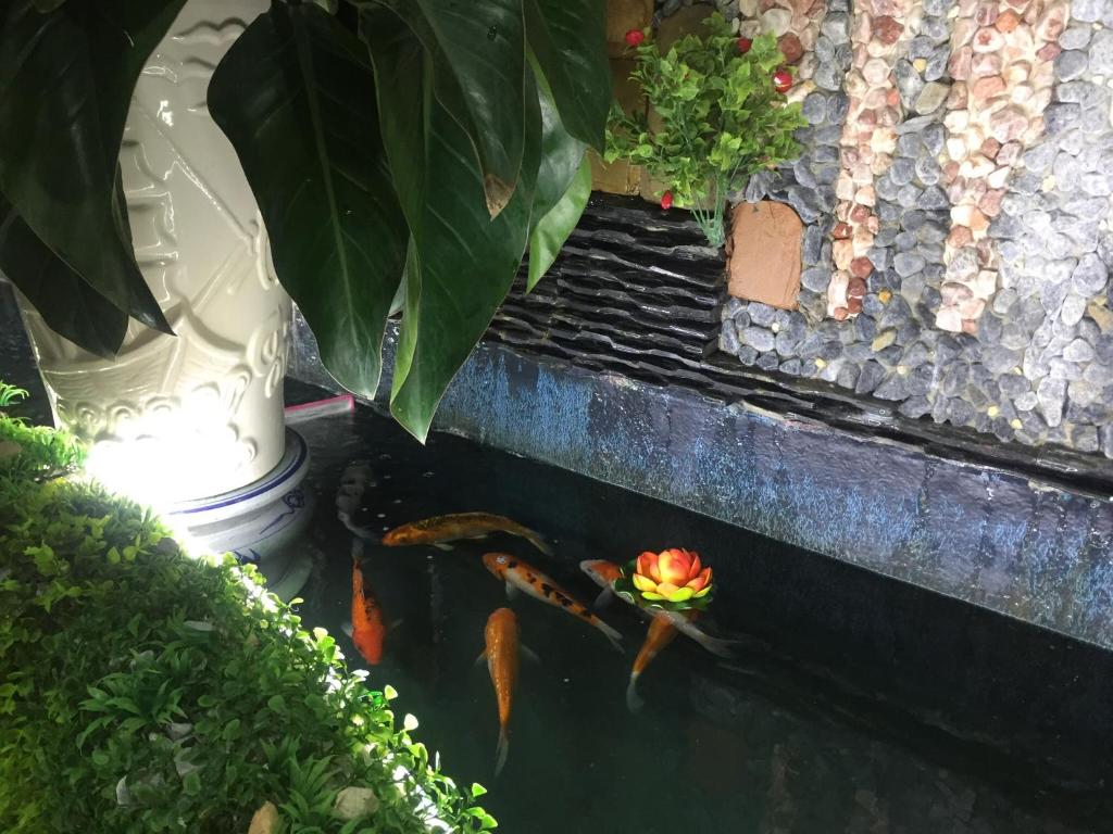 Hotel Thanh Thảo room 6