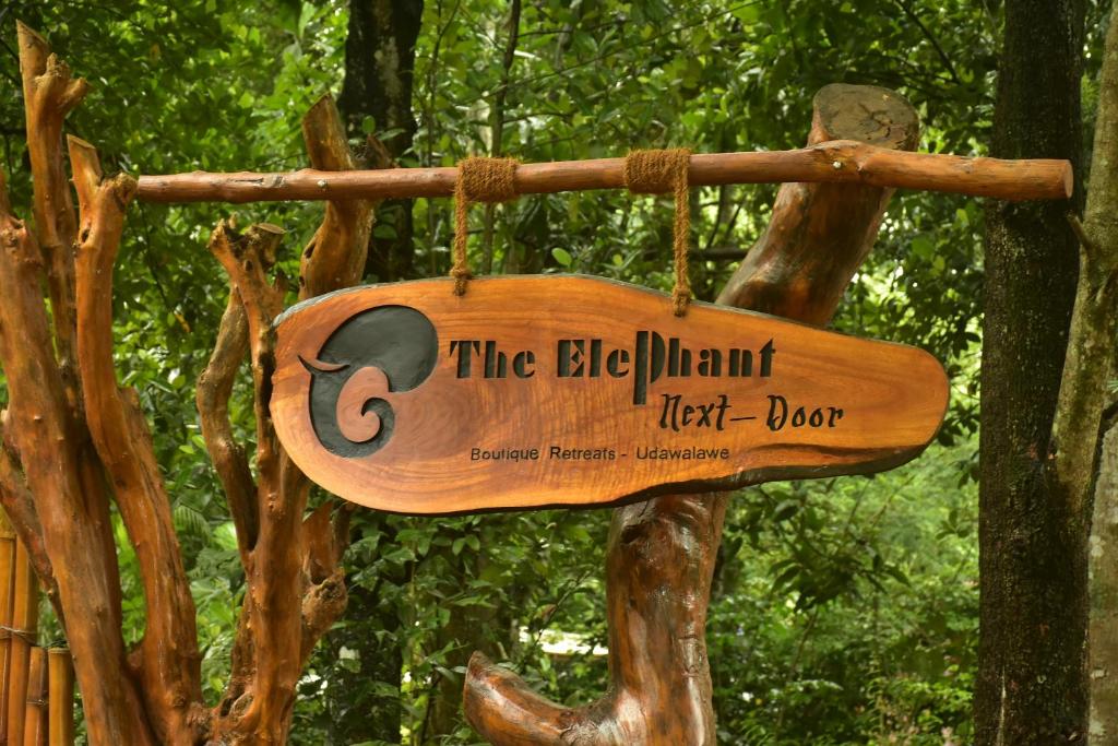 The Elephant Next-Door room 1