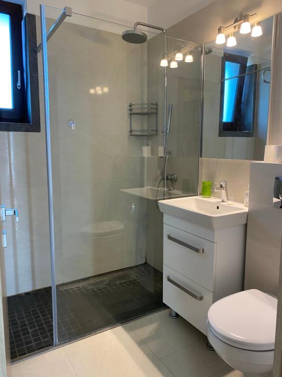 Casa ,,Twin Apartments ‘’ Giroc room 6