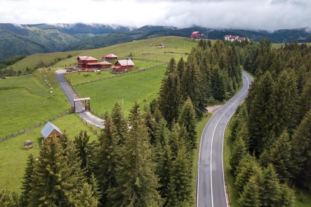 Pensiunea Turistică Vălari room 1