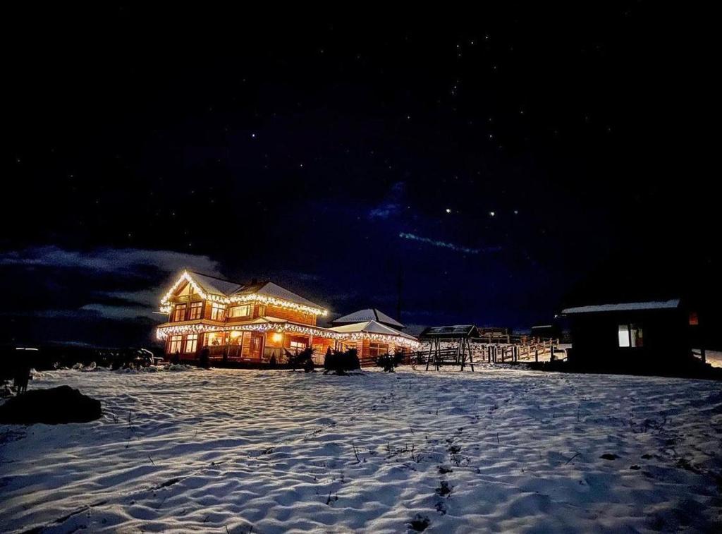 Pensiunea Turistică Vălari room 6