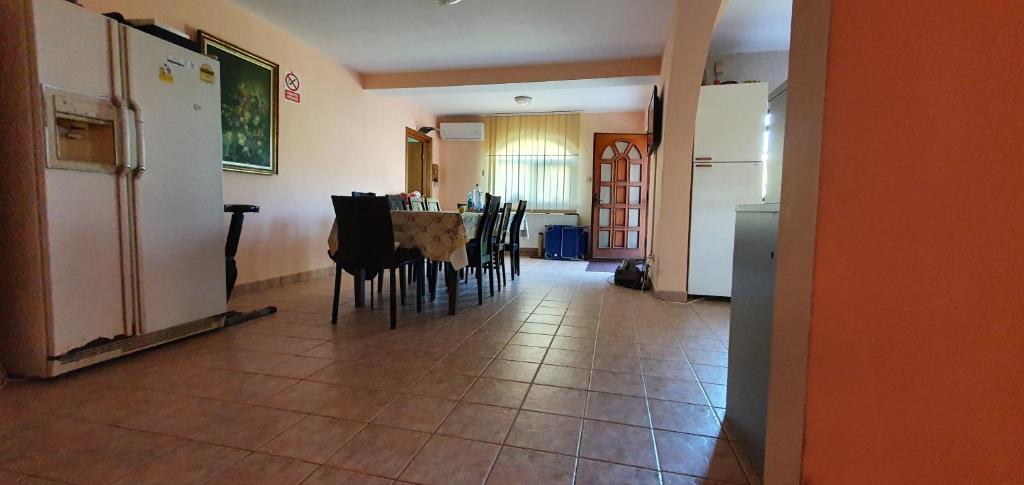 Vila Vasile room 1