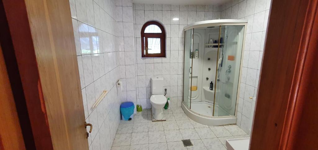 Vila Vasile room 2