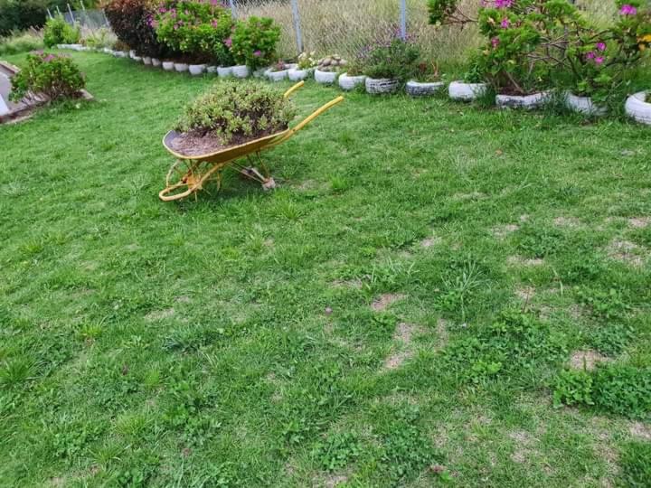 Cabaña Villa Gabriela room 3