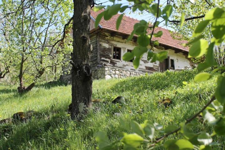 Pensiunea Vraja Munților - Bran room 2