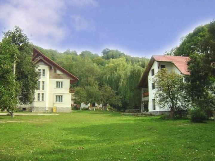 Pensiunea Vraja Munților - Bran room 6