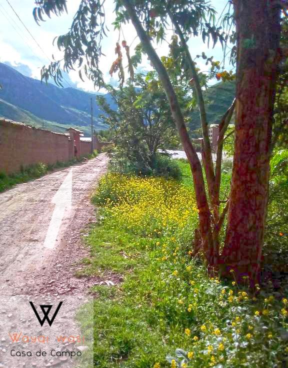 Wayqi Wasi room 3