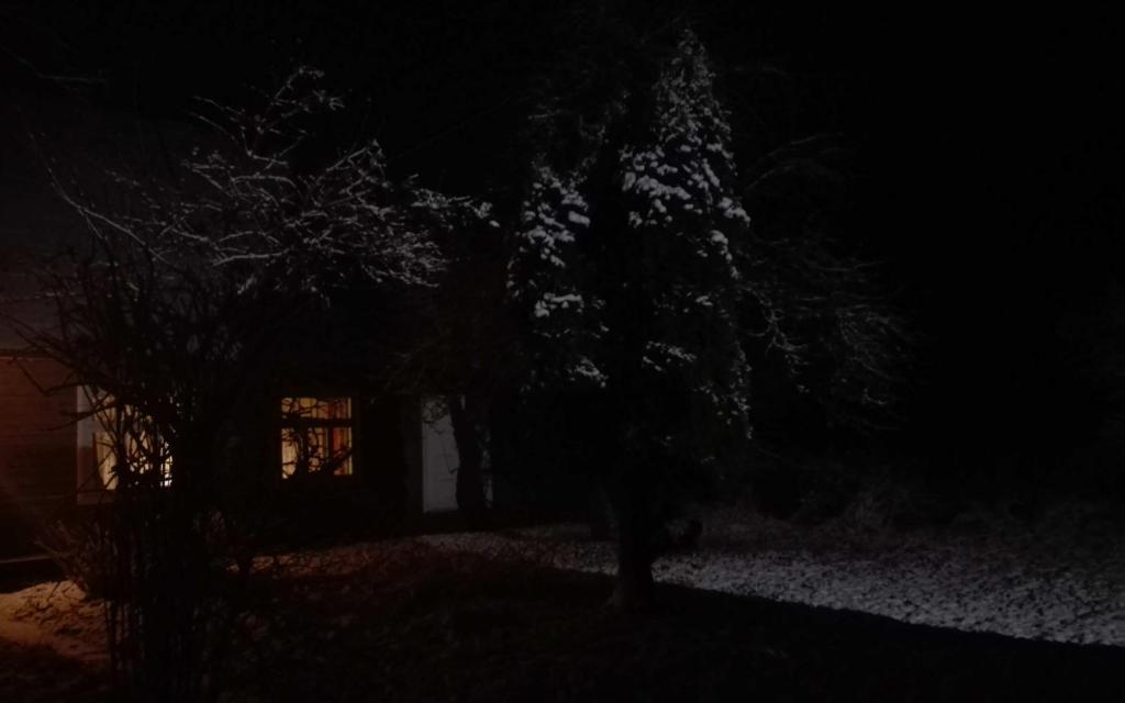 Wild Lake Korgemäe room 1