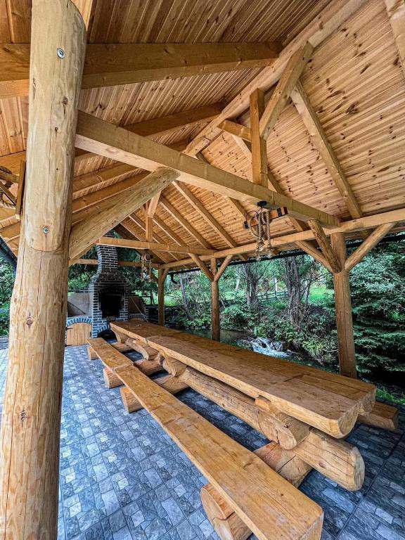 Wild tree house room 1