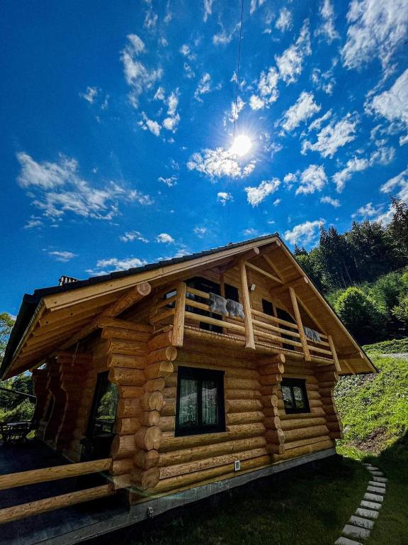 Wild tree house room 2