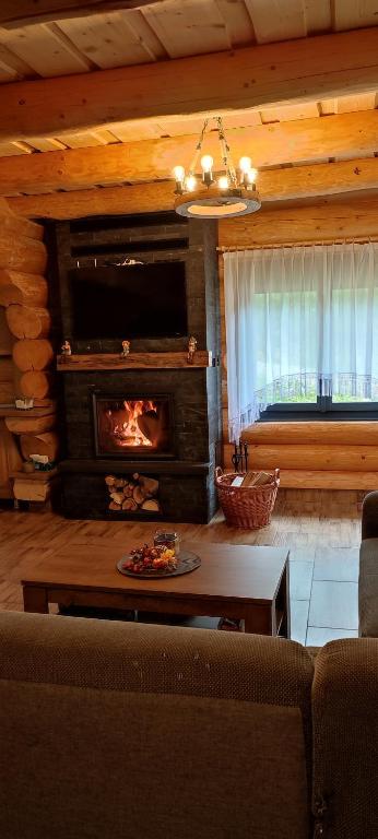 Wild tree house room 6
