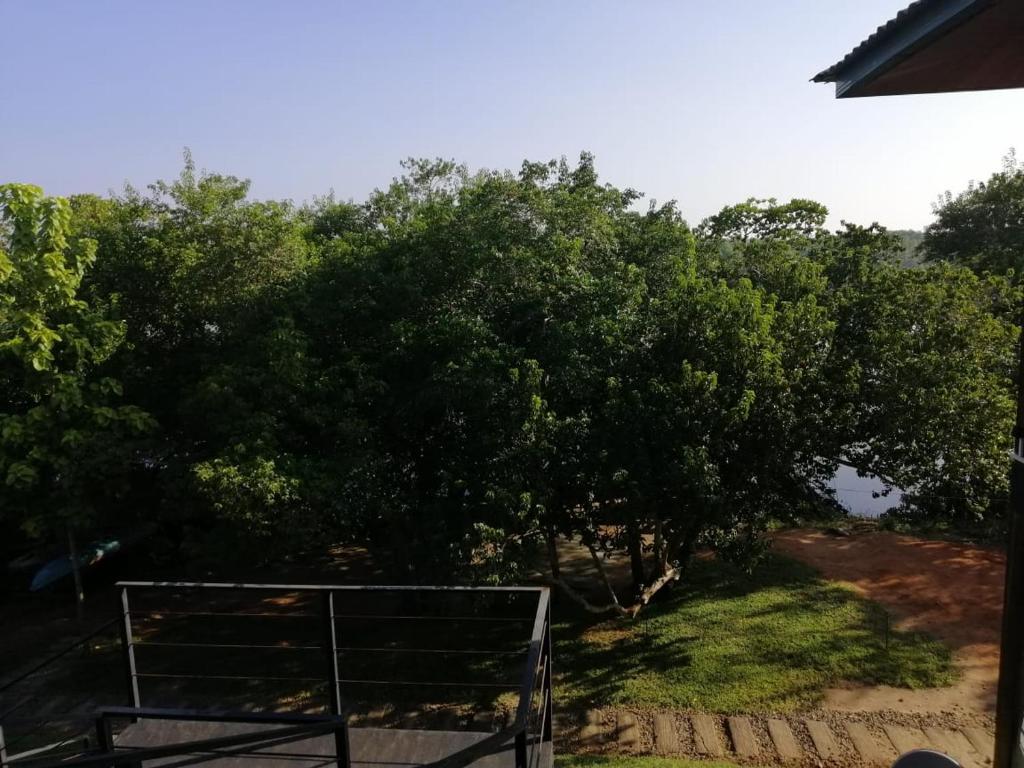 Wilpattu Nature resort room 5
