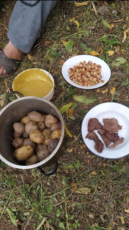 Yuraq Wasi Urquillos room 5