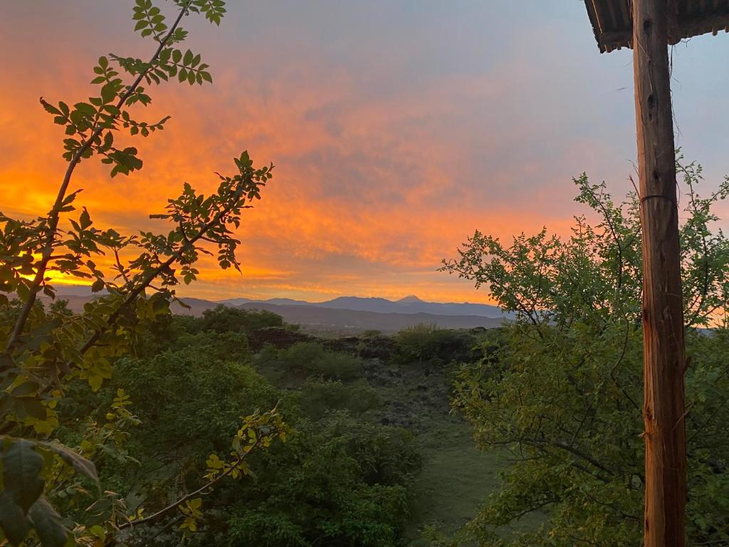 Cabaña Zamal room 1