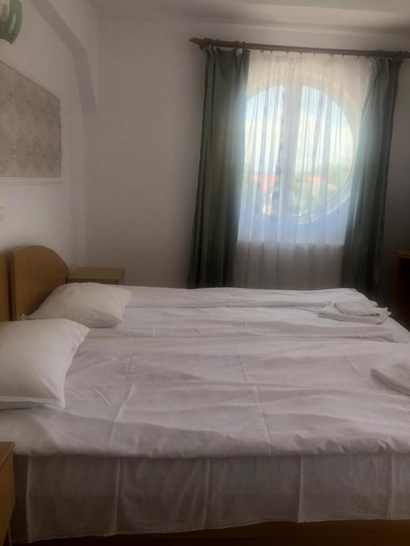 Pensiunea Zaragoza room 6