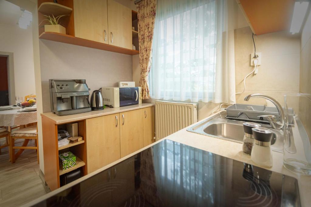 Zsuzsi Apartman room 4